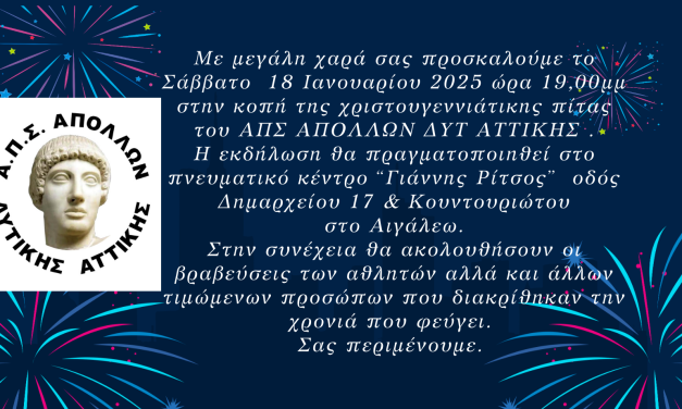 ΧΡΙΣΤΟΥΓΕΝΝΙΑΤΙΚΗ ΠΙΤΑ