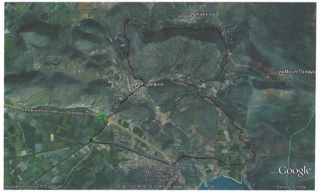 09/10/2011 Ημιμαραθώνιος Ακραίφνιου Βοιωτίας